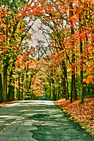 Page Road