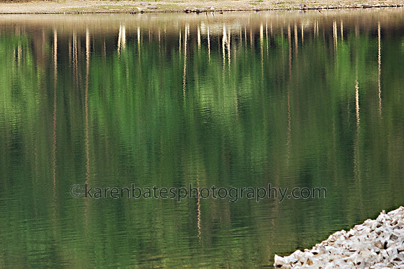 Reflections at Fall Creek Falls